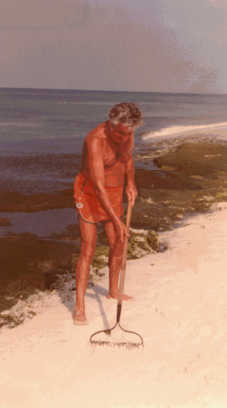 george raking beach