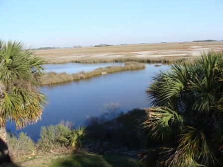 Salt Marshes