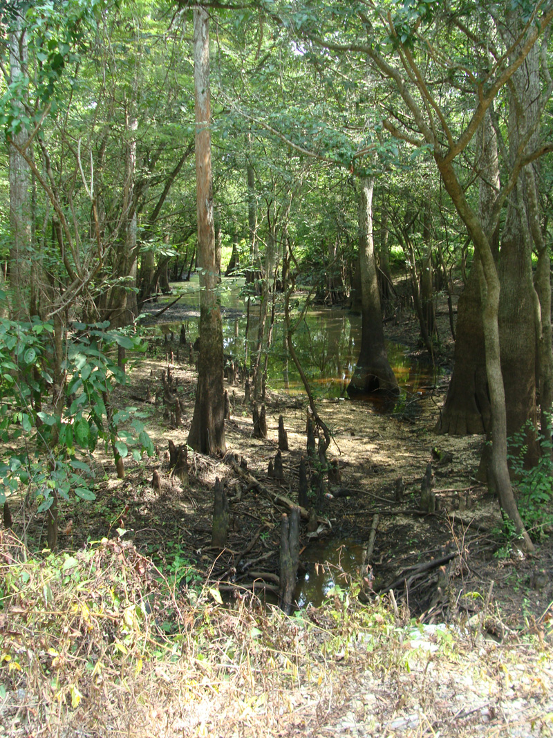 Boatyard Lake