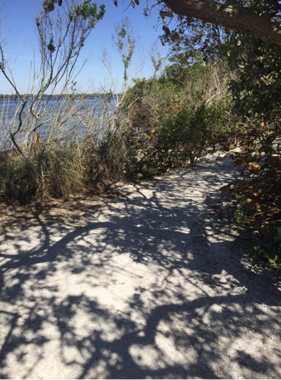 Sandy road and water